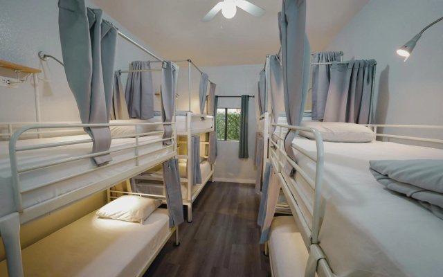 photo 5 of Samesun Venice Beach - Hostel