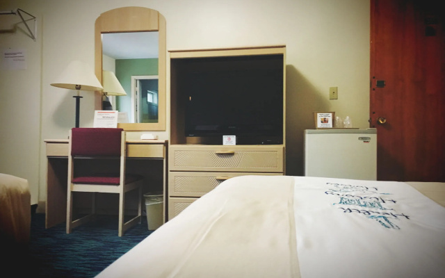 photo 3 of Bluebird Spa City Motor Lodge
