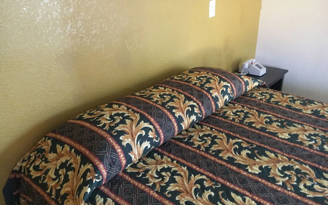 photo 5 of Satellite Motel