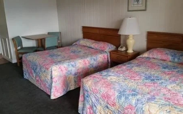 photo 3 of Sea Palms Motel