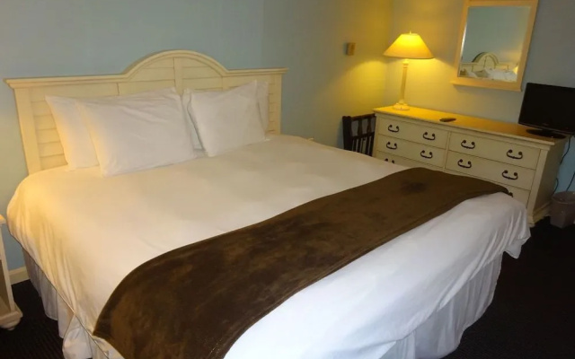 photo 5 of Sea Rose Suites