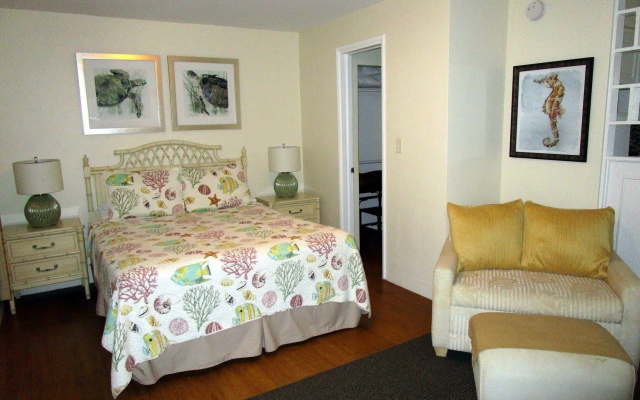 photo 3 of Seahorse Guesthouse