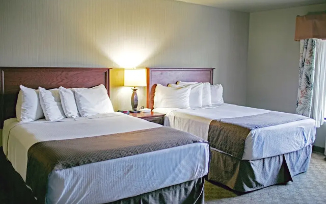 photo 5 of Seaport Inn and Suites