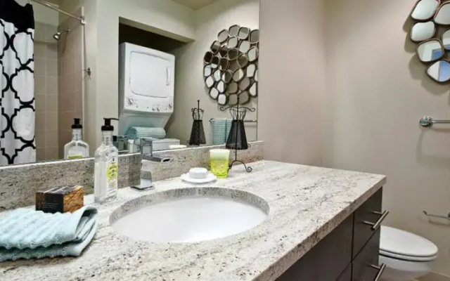 photo 5 of Seattle Discovery Apartment