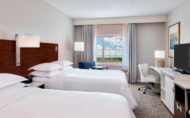 photo 4 of Sheraton Jacksonville Hotel