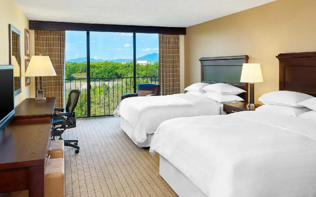 photo 4 of Blue Ridge Hotel and Conference Center