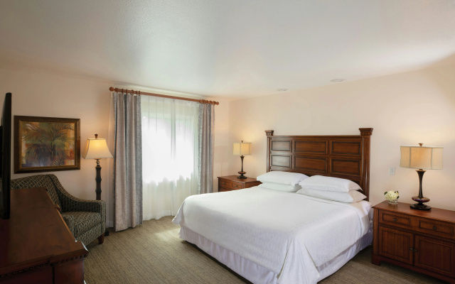 photo 3 of Sheraton Vistana Resort Villas, Lake Buena Vista/Orlando