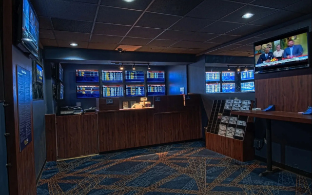 photo 5 of Siegel Slots and Suites