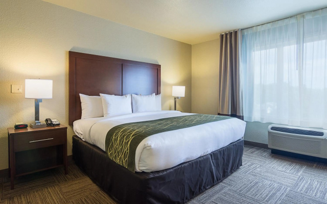photo 3 of Comfort Inn Bentonville - Crystal Bridges