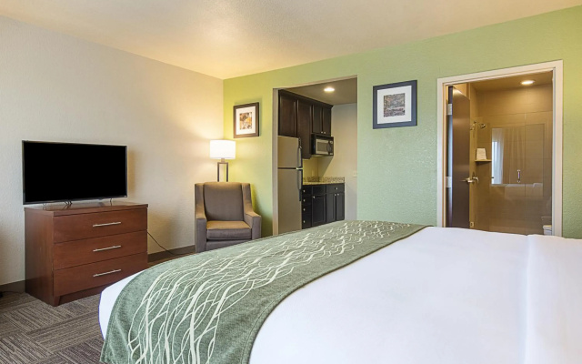 photo 5 of Comfort Inn Bentonville - Crystal Bridges