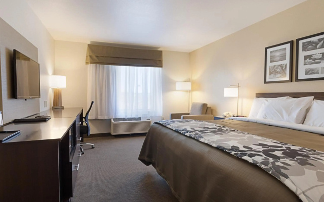photo 4 of Sleep Inn & Suites Carlsbad Caverns Area