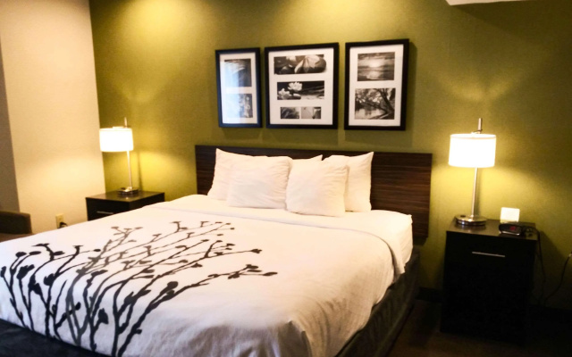 photo 4 of Sleep Inn & Suites Niantic North