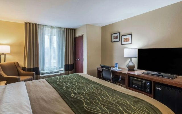 photo 4 of Comfort Inn & Suites Panama City North