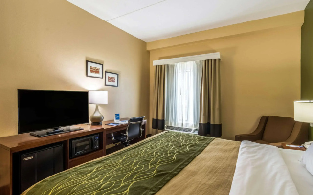 photo 5 of Comfort Inn & Suites Panama City North
