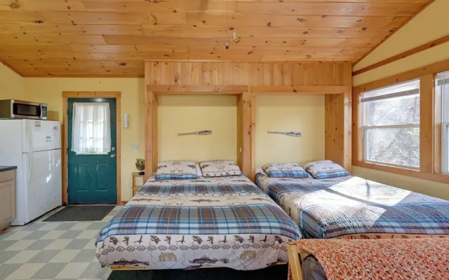 photo 4 of Pet-friendly Smoky Mountain Cabin: Hunt & Fish!