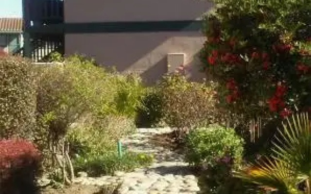 photo 5 of Soledad Motel 8