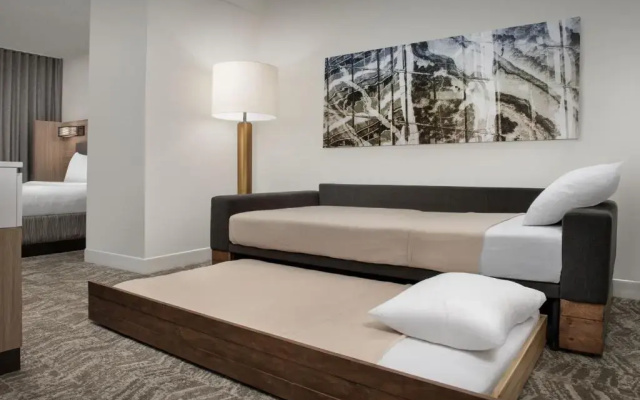 photo 5 of SpringHill Suites by Marriott Atlanta Buford/Mall of Georgia