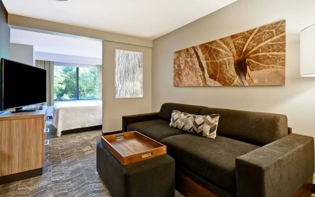 photo 4 of SpringHill Suites by Marriott Atlanta Kennesaw