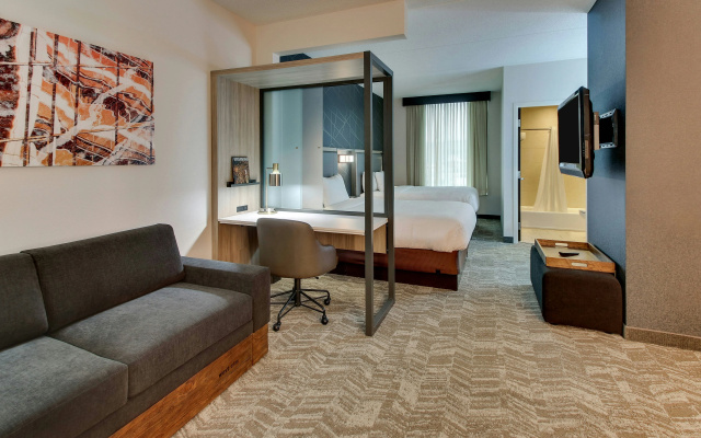 photo 4 of SpringHill Suites Birmingham Downtown at UAB