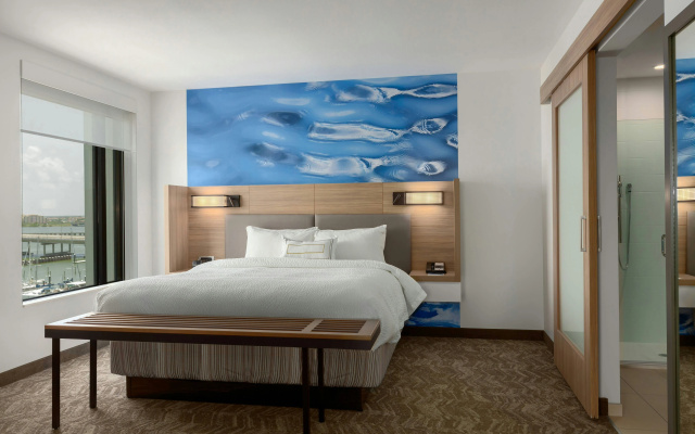 photo 3 of SpringHill Suites by Marriott Bradenton Downtown/Riverfront