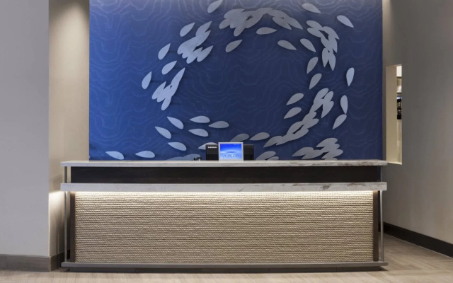 photo 3 of SpringHill Suites by Marriott Clearwater Beach