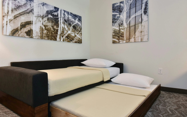 photo 3 of SpringHill Suites by Marriott Columbia Downtown/The Vista