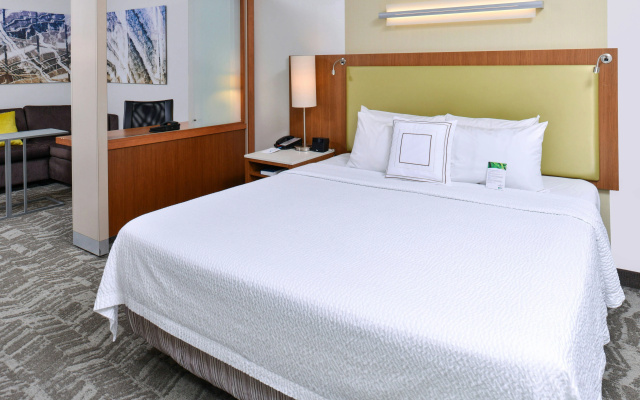 photo 3 of SpringHill Suites by Marriott Detroit Metro Airport Romulus