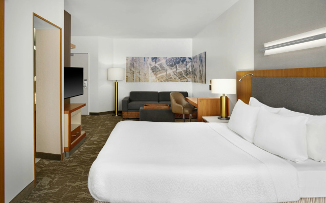 photo 5 of SpringHill Suites by Marriott Detroit Metro Airport Romulus