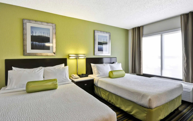 photo 5 of SpringHill Suites Houston Hobby Airport
