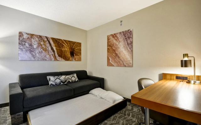 photo 5 of SpringHill Suites Lexington Near the University of Kentucky