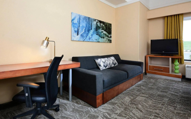 photo 4 of SpringHill Suites by Marriott Lynchburg Airport/University Area