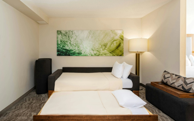 photo 5 of SpringHill Suites by Marriott Miami Airport South Blue Lagoon Area