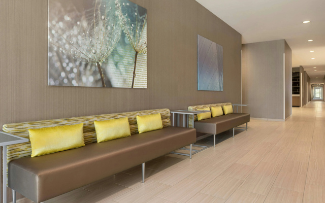 photo 3 of SpringHill Suites by Marriott Milwaukee West/Wauwatosa