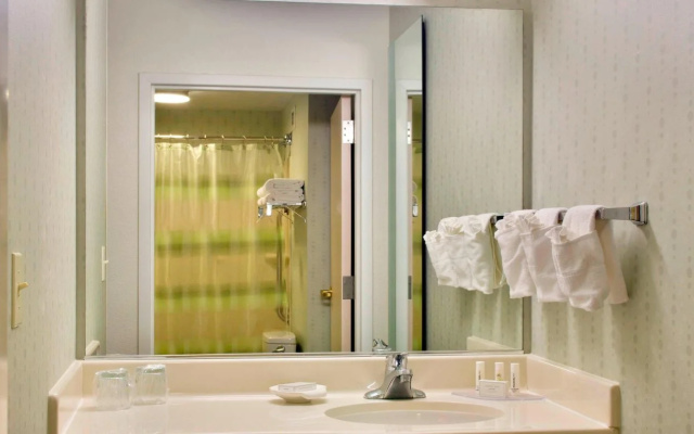 photo 5 of SpringHill Suites by Marriott Philadelphia Plymouth Meeting