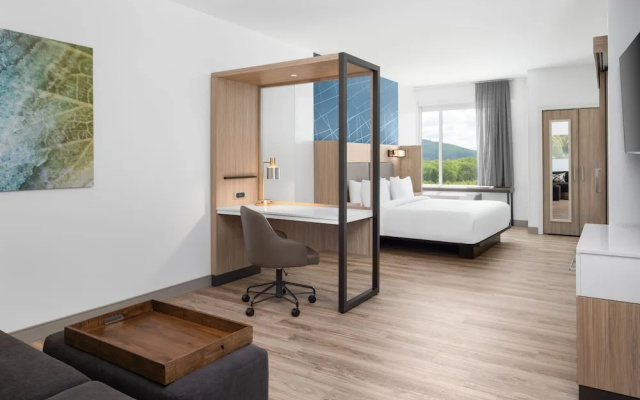 photo 4 of Springhill Suites By Marriott Roanoke North
