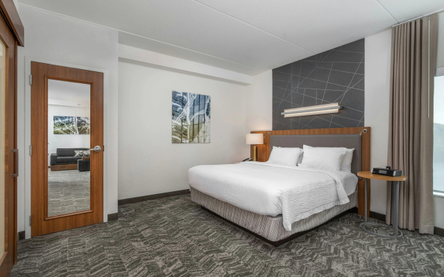 photo 3 of SpringHill Suites by Marriott Chattanooga Downtown/Cameron Harbor