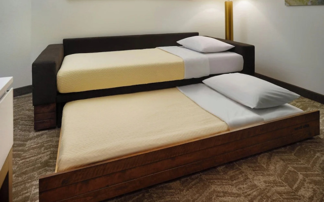 photo 3 of SpringHill Suites Ellijay