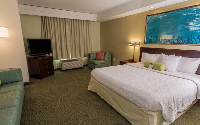 photo 5 of SpringHill Suites by Marriott Florence