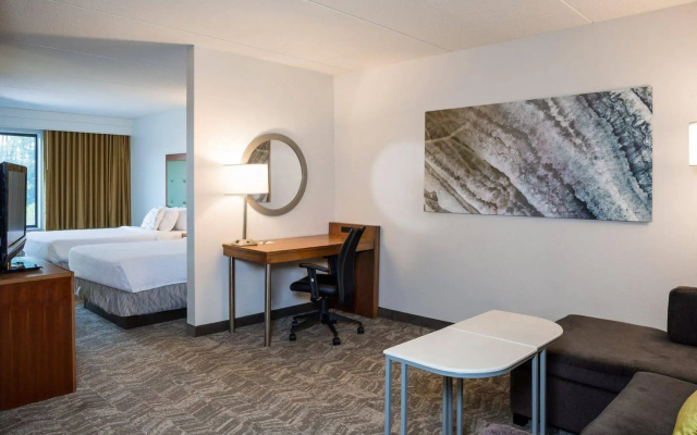 photo 4 of Springhill Suites by Marriott Hampton Coliseum
