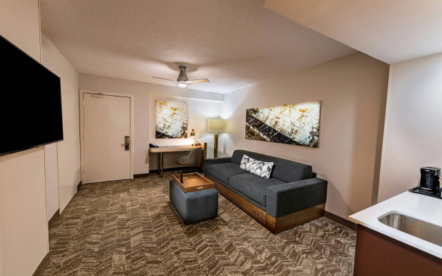photo 5 of SpringHill Suites Houston Medical Center/NRG Park