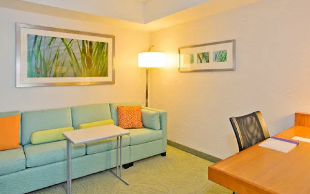 photo 4 of SpringHill Suites North Shore