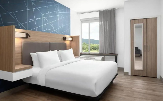 photo 4 of SpringHill Suites Roanoke North
