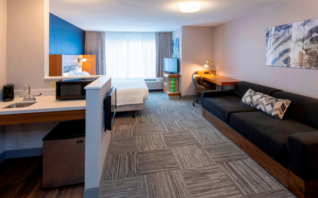photo 4 of SpringHill Suites by Marriott Rochester-Mayo Clinic/St Marys