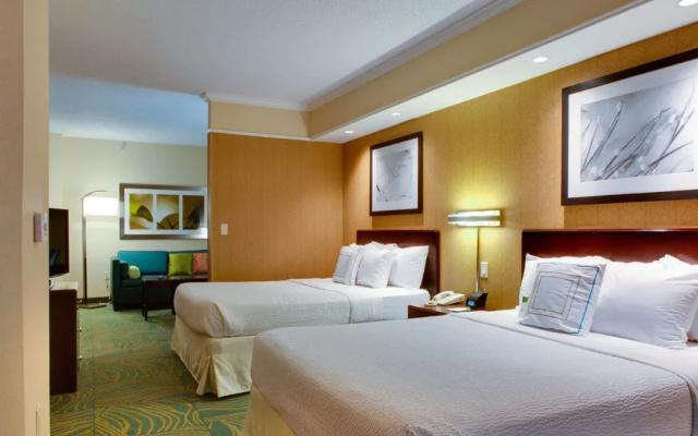 photo 3 of SpringHill Suites Savannah Airport