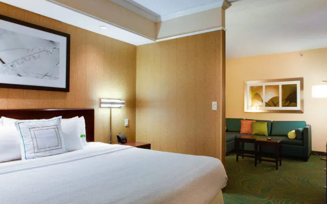 photo 4 of SpringHill Suites Savannah Airport