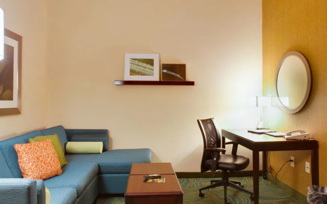 photo 5 of SpringHill Suites Savannah Airport