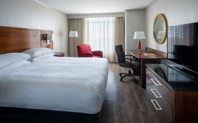 photo 3 of St. Petersburg Marriott Clearwater