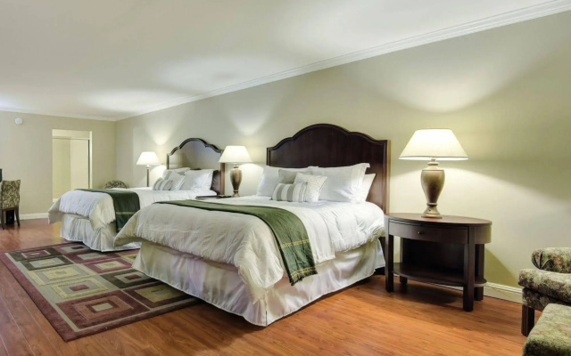 photo 4 of Stanford Terrace Inn