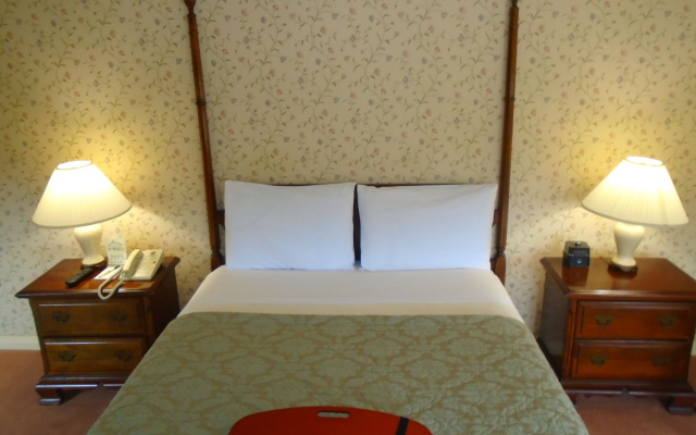 photo 3 of Stanyan Park Hotel