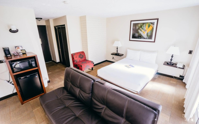photo 5 of Stay Hotel Waikiki